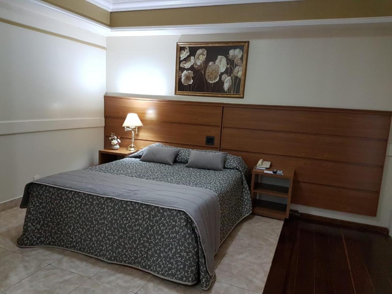 Tamareiras Park Hotel Uberaba Eksteriør billede
